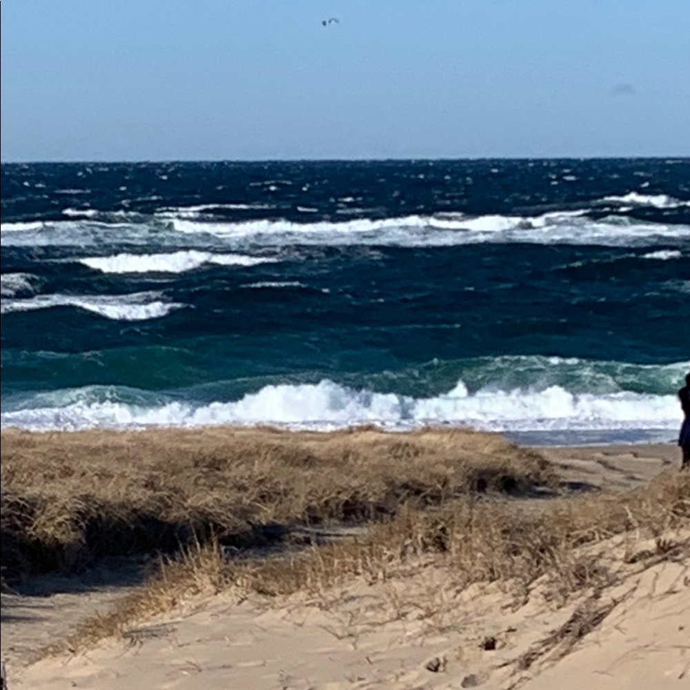 Meet your Posher, Catherine